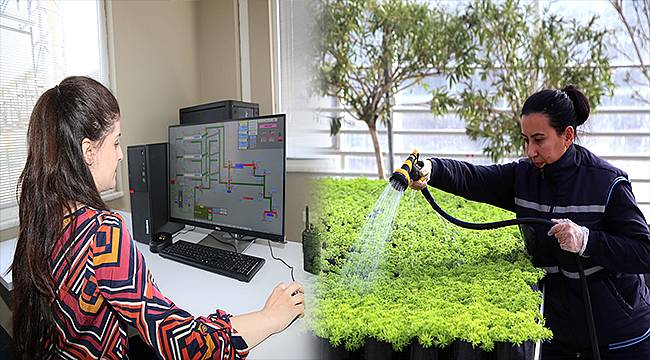 Hem elektrik hem çiçek üreten tesis