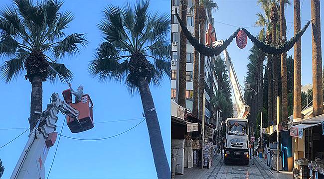 İzmir'in palmiyelerine "enjeksiyonlu" koruma