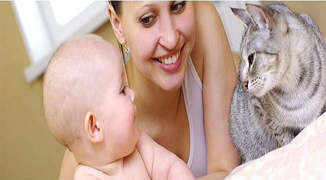 Kedi ve köpeğe alerjisi olanlara alerji aşısı yapılabilir mi?