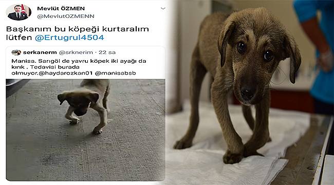 Alkışlar Manisa Vali Yardımcısı Mevlüt Özmen'e