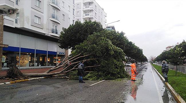 Antalya Büyükşehir'den fırtına ve yağmur seferberliği