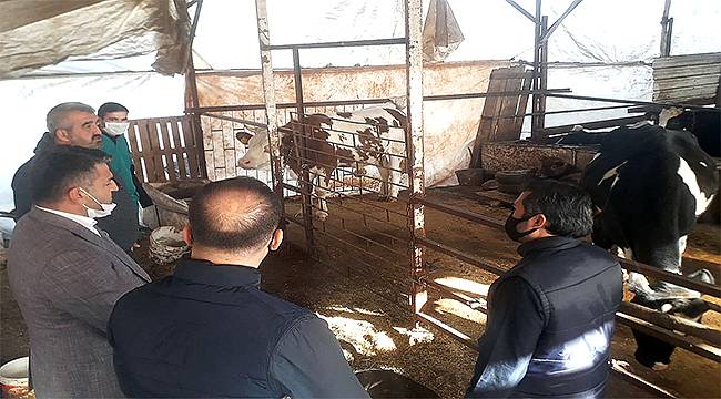 Antalya Demre'deki besicilerin ihtiyaçları belirlendi