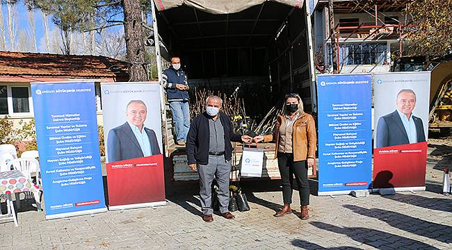 Antalyalı çiftçilere ceviz fidanı dağıtıldı 