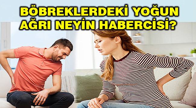 At nalı böbrek hastalığı nasıl olur ve nelere dikkat edilmesi gerekir? 