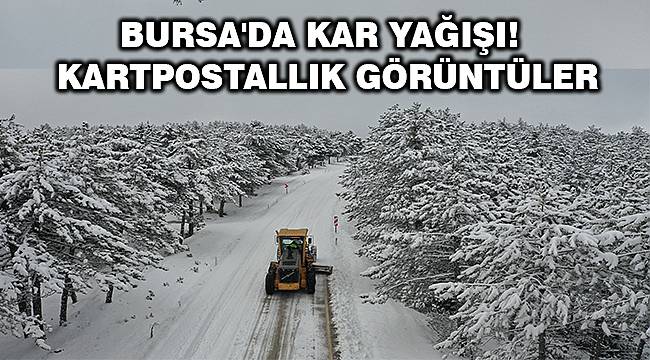 Bursa'da karla kesintisiz mücadele 
