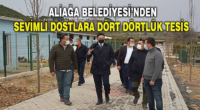 Hayvan Bakımevi ve Yaşam Alanı'nda çalışmalar tamamlanıyor