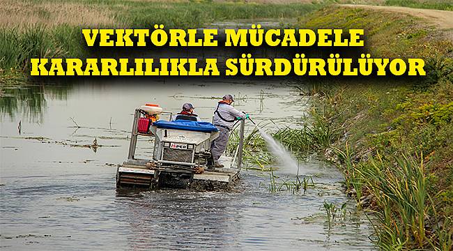 İstanbul'da vektörel mücadele sürüyor