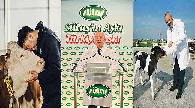 Sütaş yatırımı ile Bingöl'de kişi başına düşen gelir %40 artacak 