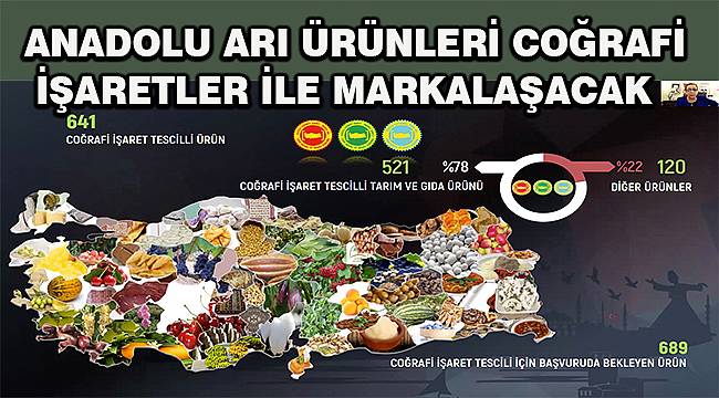 Yöresel Arıcılık Ürünlerinde Coğrafi İşaretlemeler Paneli online yapıldı 