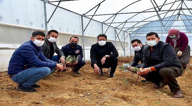 Büyükşehir'in Serası Sayesinde, Demirci Lavanta Kokacak 