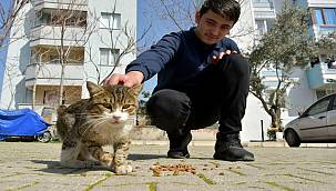  Sevimli dostlara mama desteği 