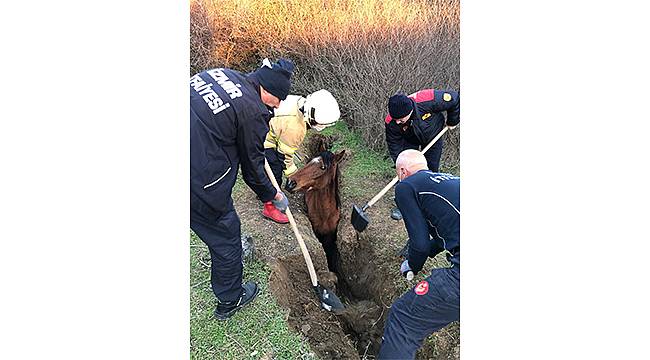 İzmir itfaiyesi 5 bin hayvan kurtardı