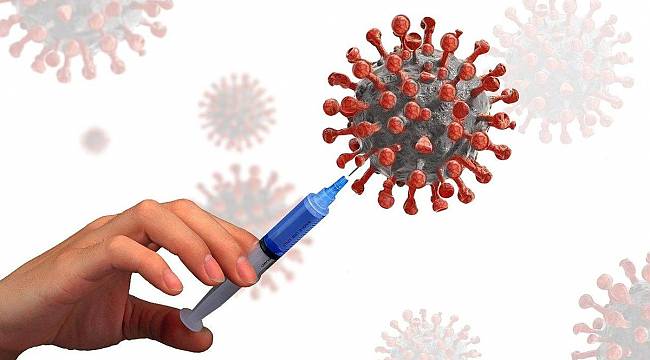 2 doz aşıdan sonra antikor oluşmazsa ne olacak? 