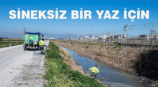 Büyükşehir larva mücadelesine devam ediyor
