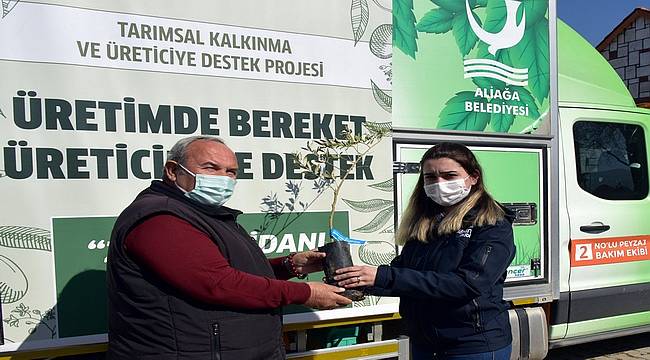 Helvacı'da Zeytin Fidanları Üreticiyle Buluştu 