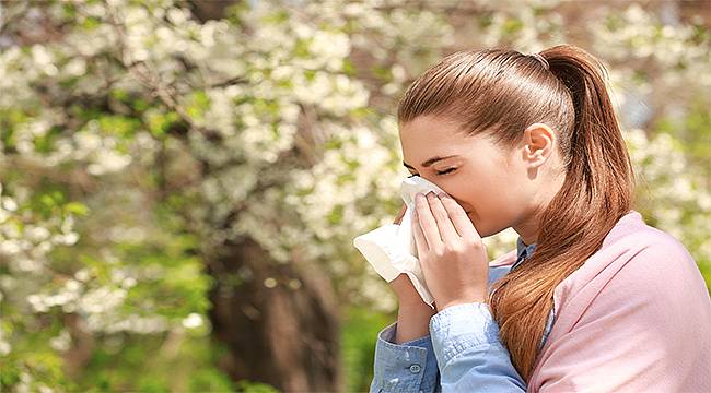 Bahar alerjisi kapalı alanlarda özen ister 