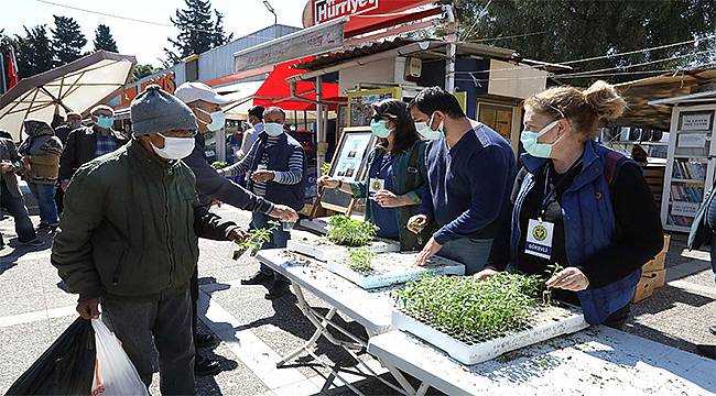 Buca'da balkon tarımı için 100 bin fide