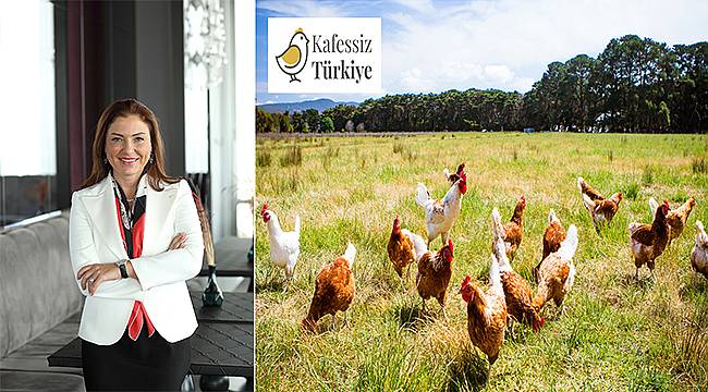 Dedeman Grubu Türkiye'deki otellerinde kafessiz yumurta kullanımına geçti 