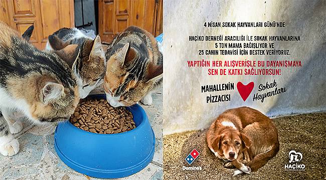 Domino's ve Domino's severlerden Haçiko'ya 5 ton mama ve 25 can için tedavi desteği 