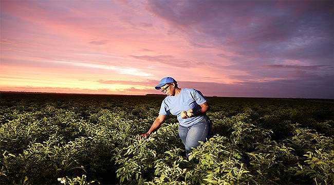 PepsiCo; 2030 yılı için yeni Pozitif Tarım hedeflerini duyurdu