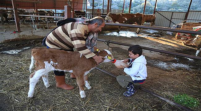 Üreticilerin kaderi Süt Birliği ile değişti 