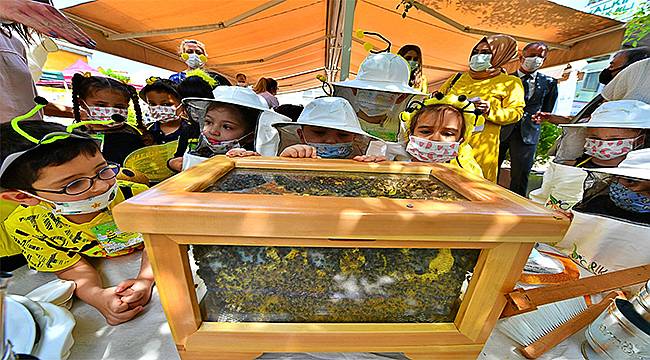 Büyükşehir, Dünya Arı Günü'nde arı farkındalık etkinliği yaptı: "Arılar Olmazsa!"