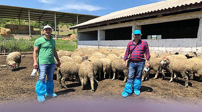 Manisa Büyükşehir'den Hayvan Üreticilerine Büyük Destek