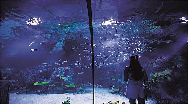 Funtastic Aquarium İzmir, Westpark Outlet'te yeniden ziyarete açıldı!