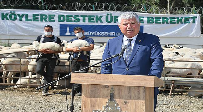 İzmir Büyükşehir Belediyesi hayvancılığa desteğini sürdürüyor