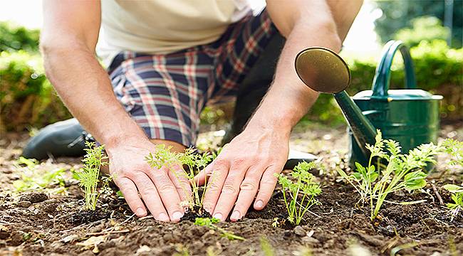 Stresten arınmak için toprak ve bahçeyle uğraşın 