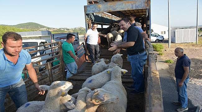 Aliağa Belediyesi'nden Manavgat'taki Köylülere Destek