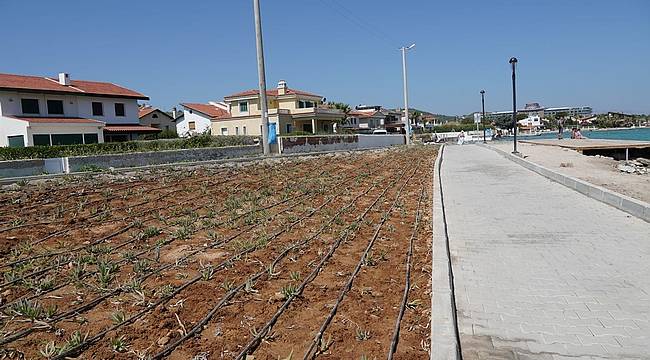 Çeşme Belediyesinden Ilıca'ya bir yatırım daha: Yıldız Burnu Rekreasyon Alanı!