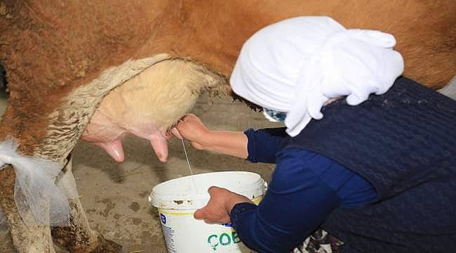 AGROTEC Tarım Fuarı'nda Süt Sağma Yarışması