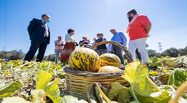 Çeşme kavunu "coğrafi işaretli ürün" olarak tescillendi