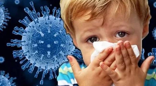 Grip aşısı kimlere yapılmalıdır? 