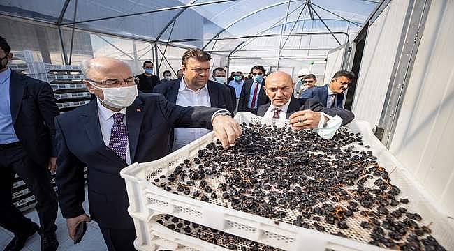 Başkan Soyer, Vali Köşger ile birlikte Seferihisar'daki jeotermal tesislerini inceledi