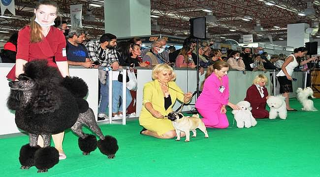 Petzoo Evcil Hayvan Ürün Malzeme ve Aksesuar Tedarikçileri Fuarı sona erdi