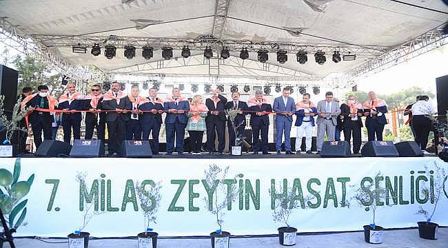 7. Milas Zeytin Hasat Şenliği dolu dolu geçti 