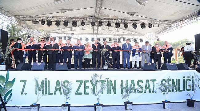 7. Milas Zeytin Hasat Şenliği dolu dolu geçti