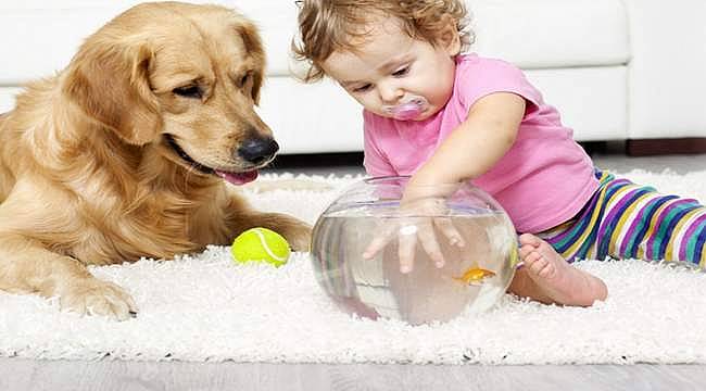 Evcil hayvanlar ve çocukların gelişimindeki önemi 