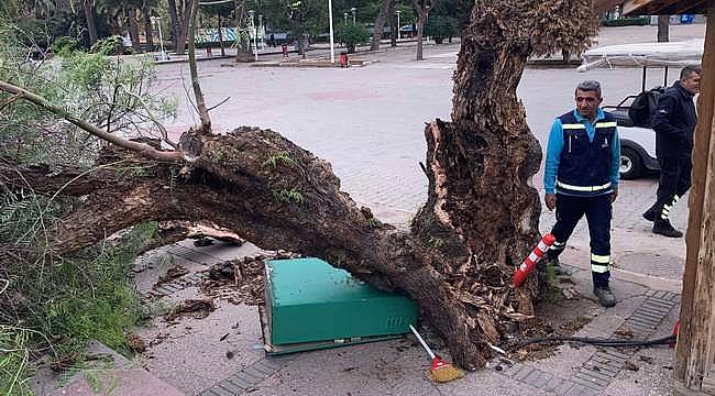 İzmir'de kuvvetli fırtına 