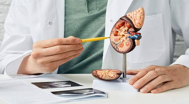 Böbrek kanseri nedir? Belirtileri ve tedavi yöntemleri nelerdir?