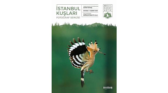 İstanbul Kuşları Doğuş Otomotiv Plus'ta 