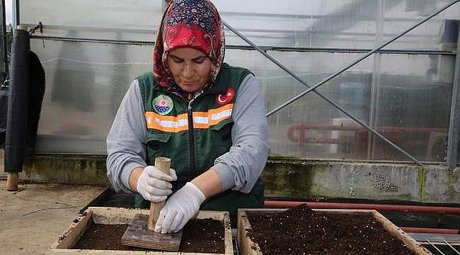 Gölbaşı'nda ata tohumları toprakla buluştu