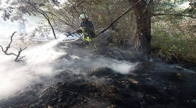 Akhisar'da Ormanlık ve Zeytinlik Alandaki Yangına Müdahale 