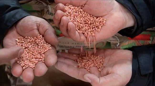 Kars'tan Başkan Soyer'e tohum teşekkürü: "Susuz, İzmir sayesinde tahıl ambarı olacak"