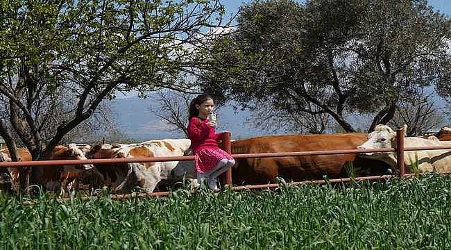Pınar Süt, 2021'de yüzde 32,2 büyüyerek 2,7 milyar TL ciroya ulaştı 
