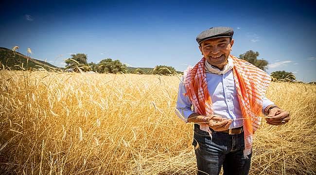 İzmir Büyükşehir Belediyesi'nden üreticiye tam destek! Buğdayın kilosu 10 liradan alınacak