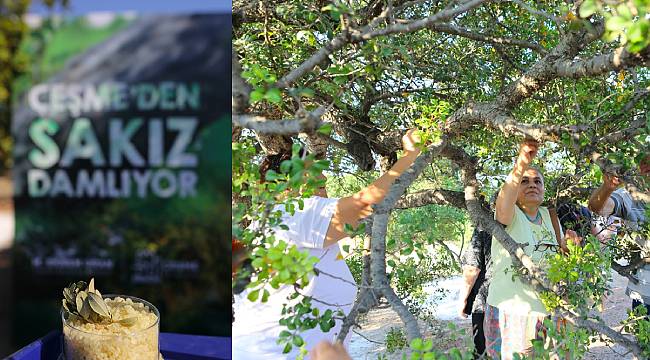 'Çeşme'den Sakız Damlıyor' Projesi 4 yaşında!