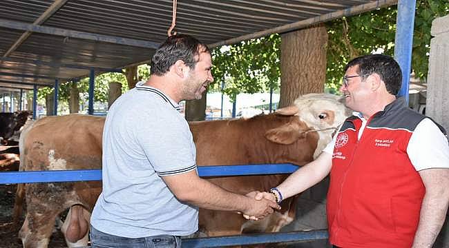 Muğla'da kurban satış ve kesim yerleri bayrama hazır 